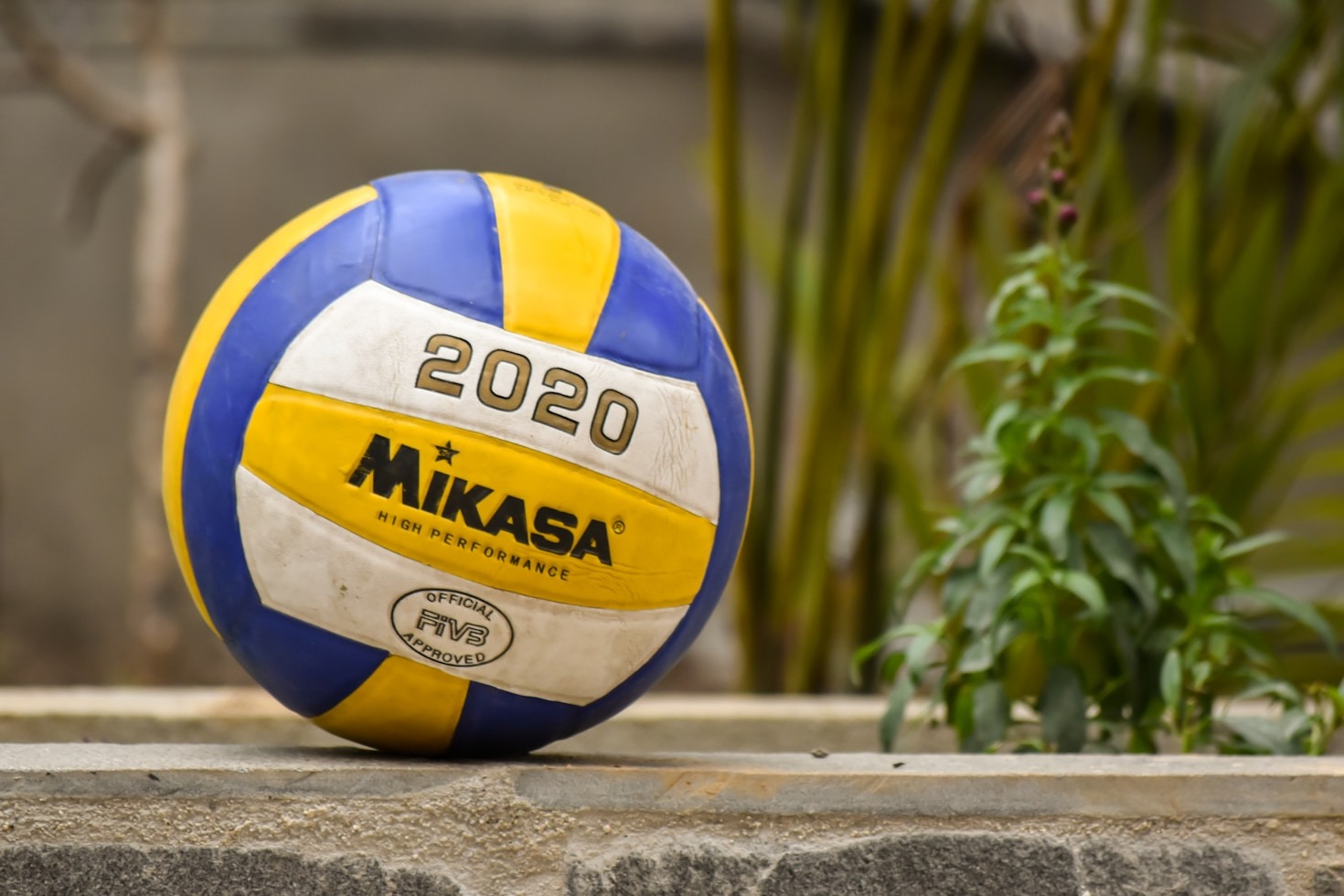 Youth Development Through Sports: The Volleyball Way